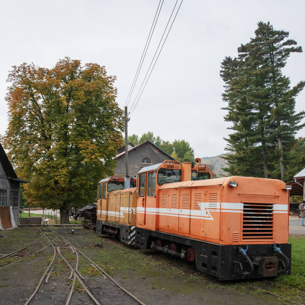 Image /media/dnddnsyj/_dsc3214.jpg