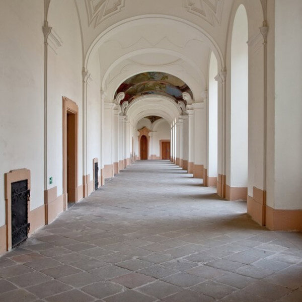 Obrázek /media/dsbf20b1/plasy_-_klaster_532x800.jpg