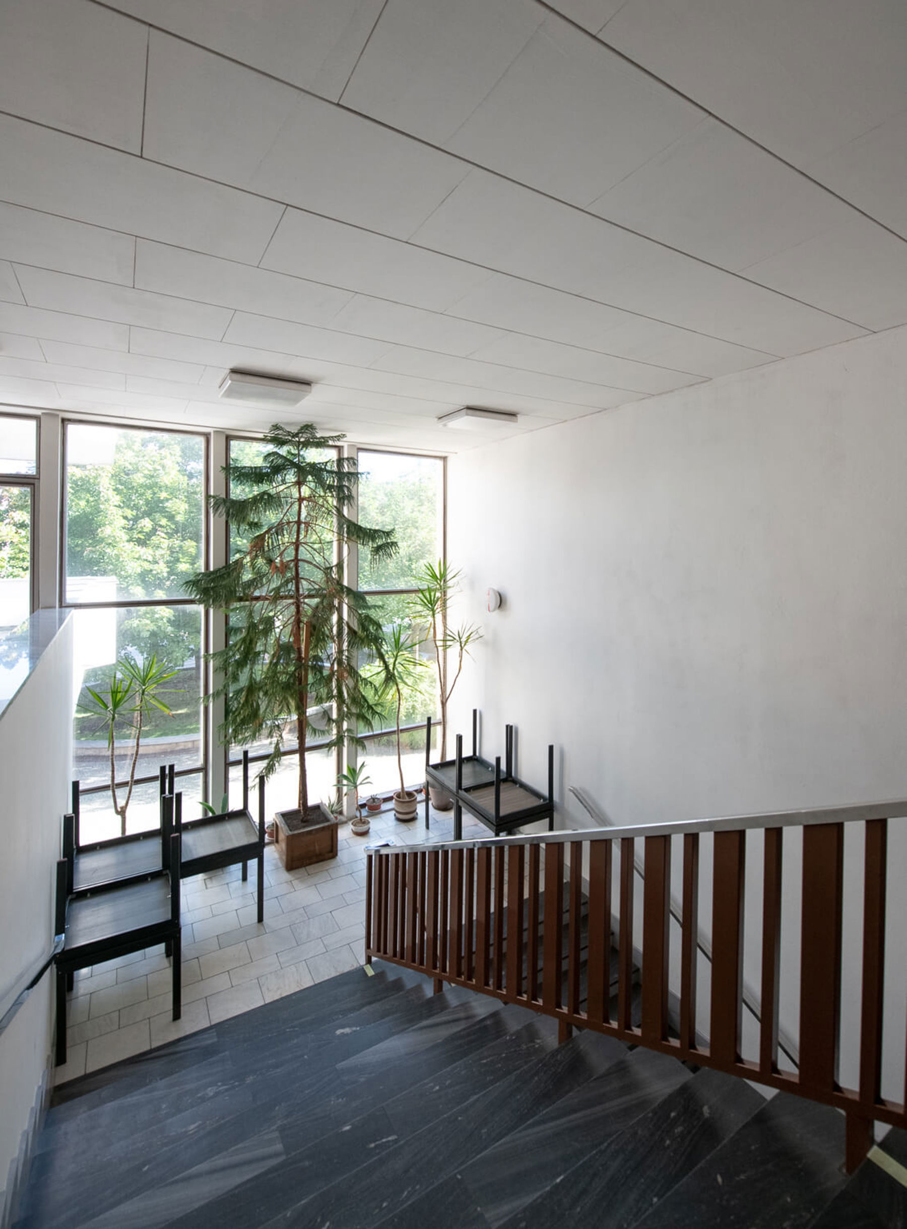 Obrázek /media/dsfknton/_dsc8817.jpg