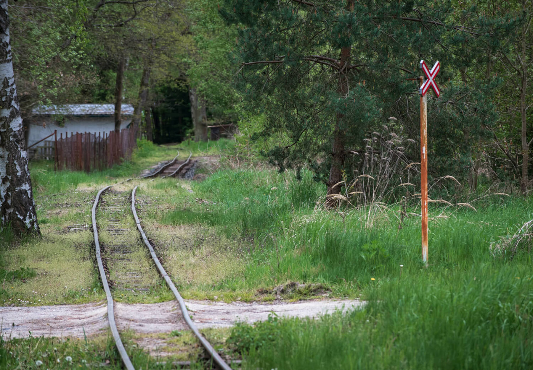 Image /media/dtwfo5wy/_dsc5286.jpg