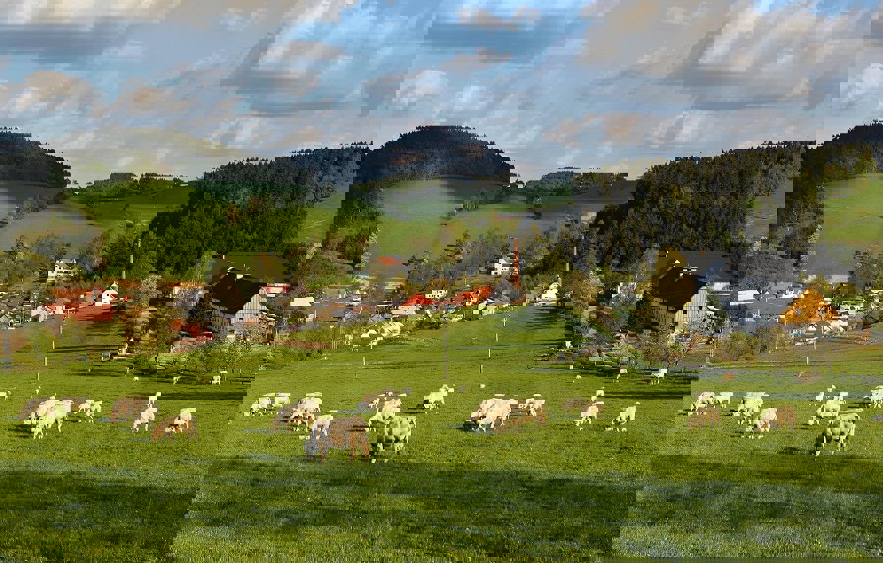 Image /media/du0lkrbi/jimramovske_pavlovice_u_jimramova.jpg