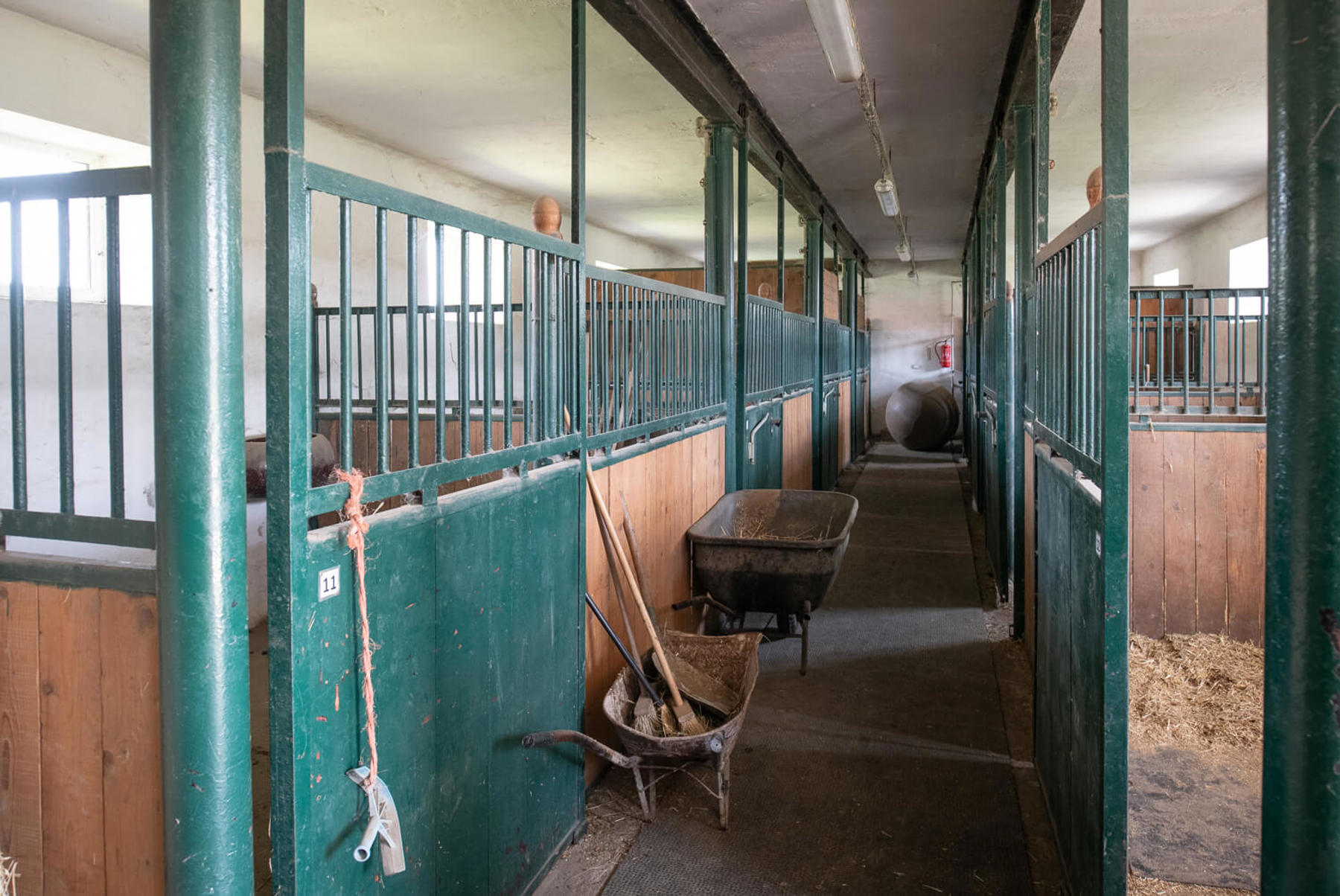 Image /media/dvpja2a0/_dsc7964.jpg