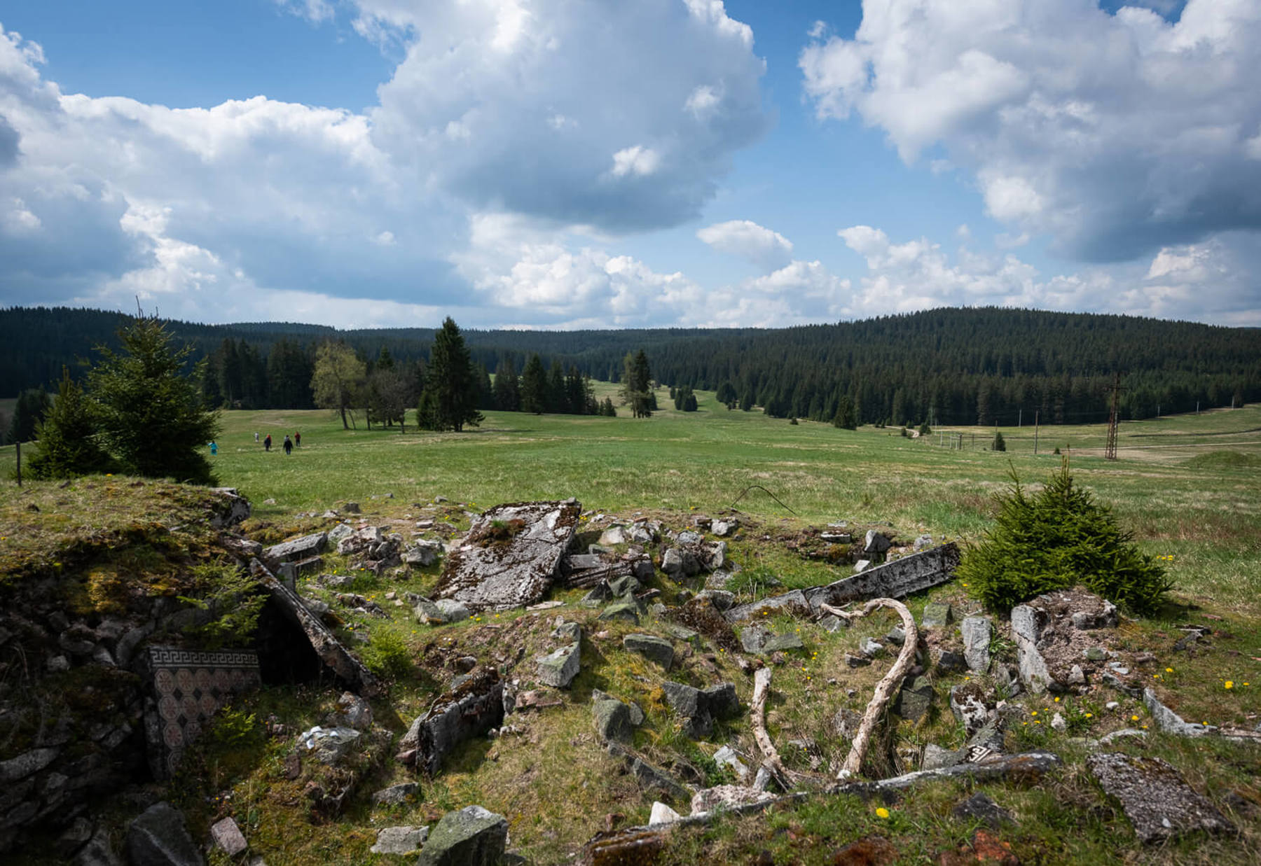 Image /media/e24jidlm/dsc7902.jpg