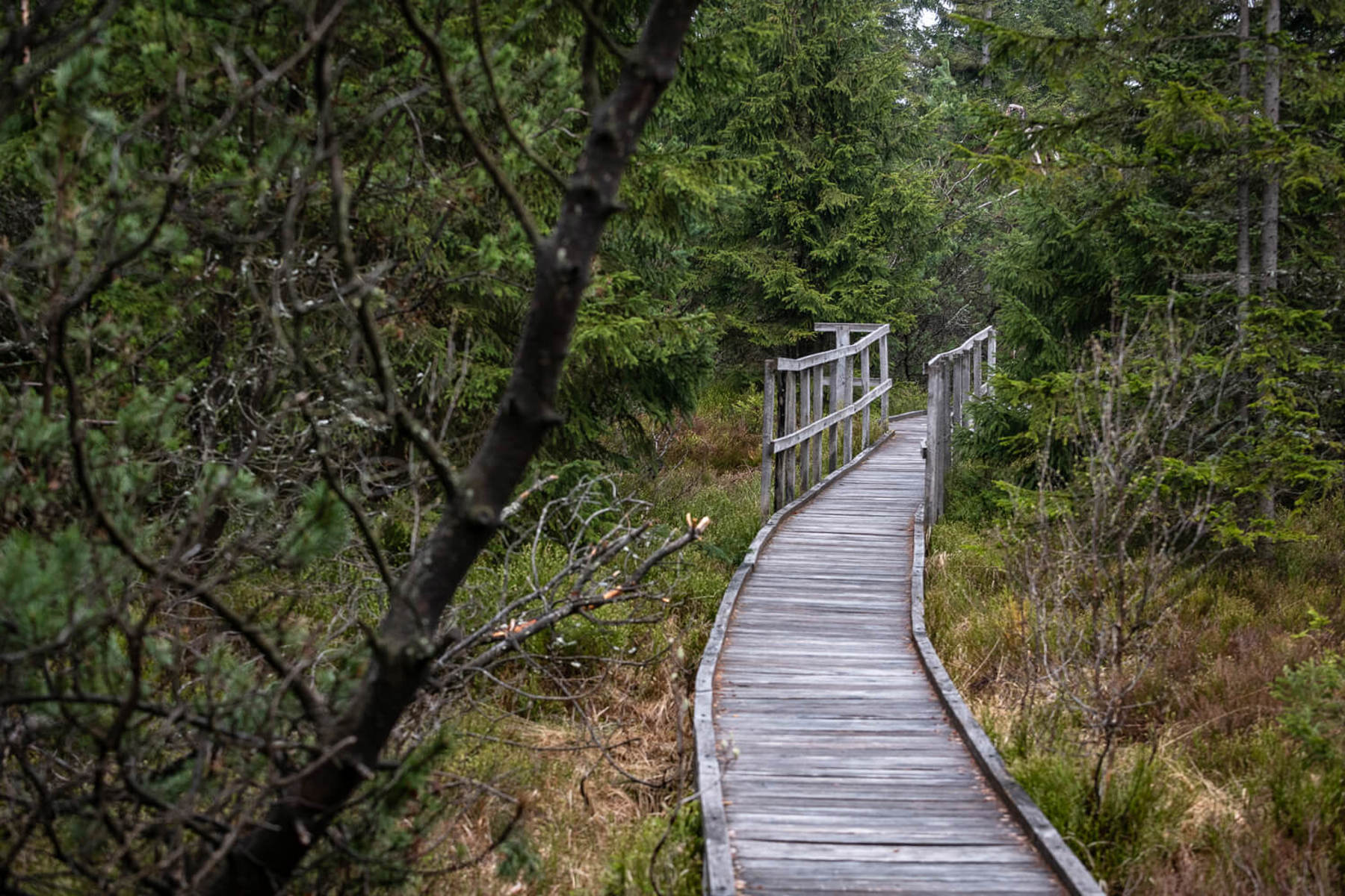 Image /media/e2gpo5v3/dsc8289.jpg