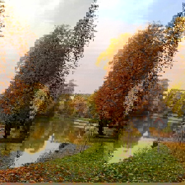 Image /media/ehinuch3/park-cechy_pod_kosirem3_mala.jpg