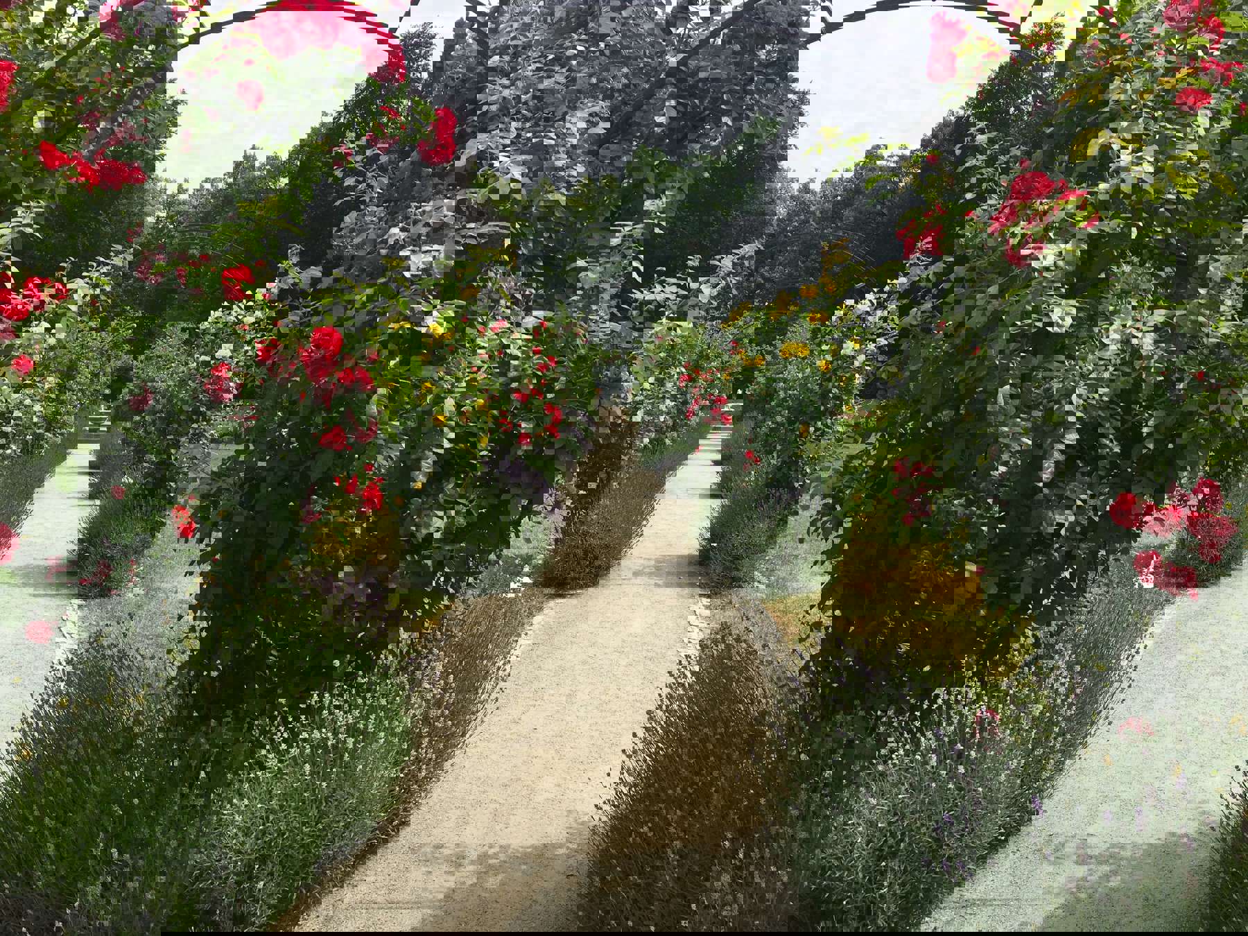 Image /media/emabmxzf/zamek-jemniste.jpg