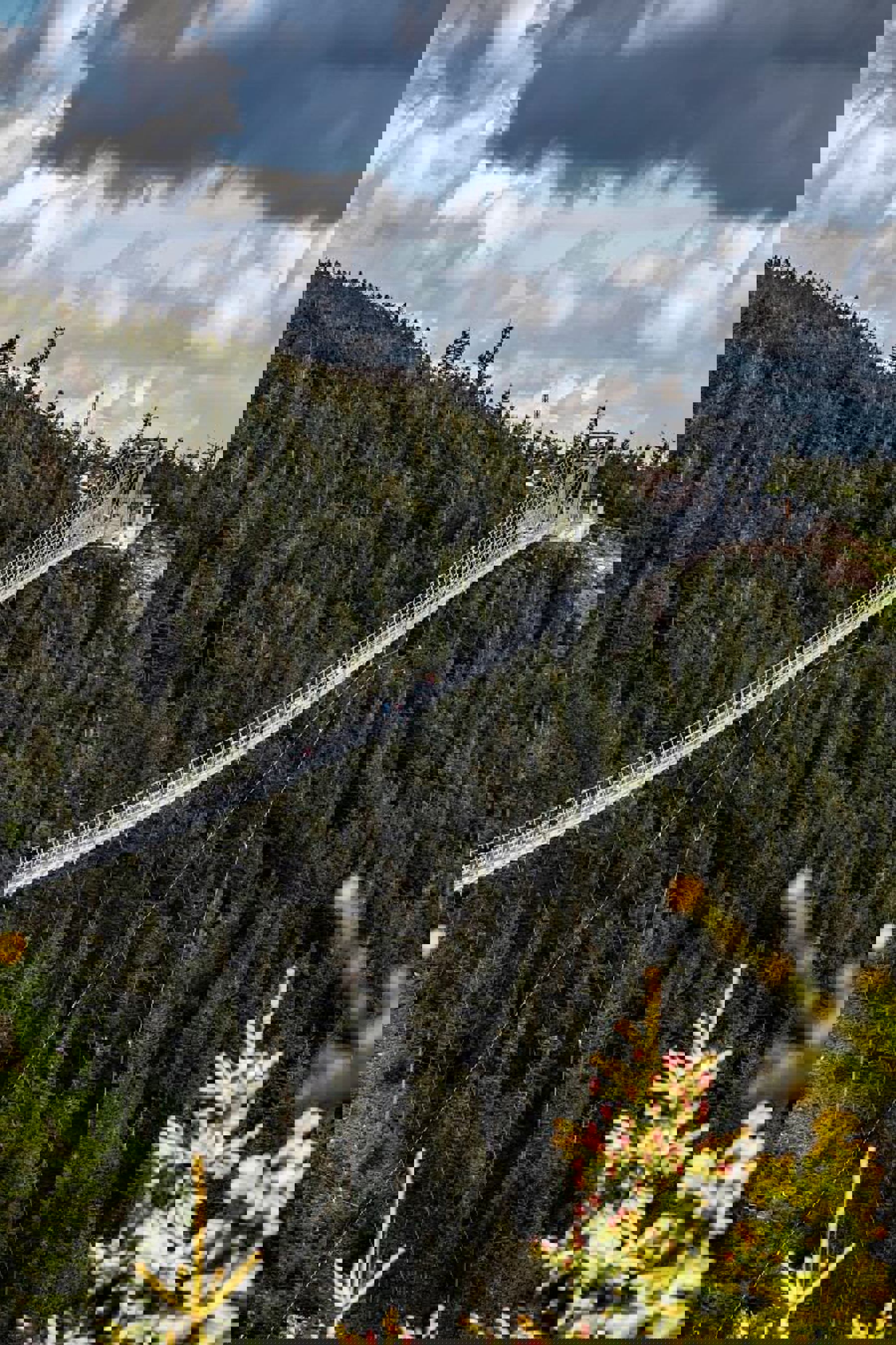 Image /media/enhbacvd/sky_bridge_721_archiv_horsky_resort_dolni_morava__6_mala.jpg