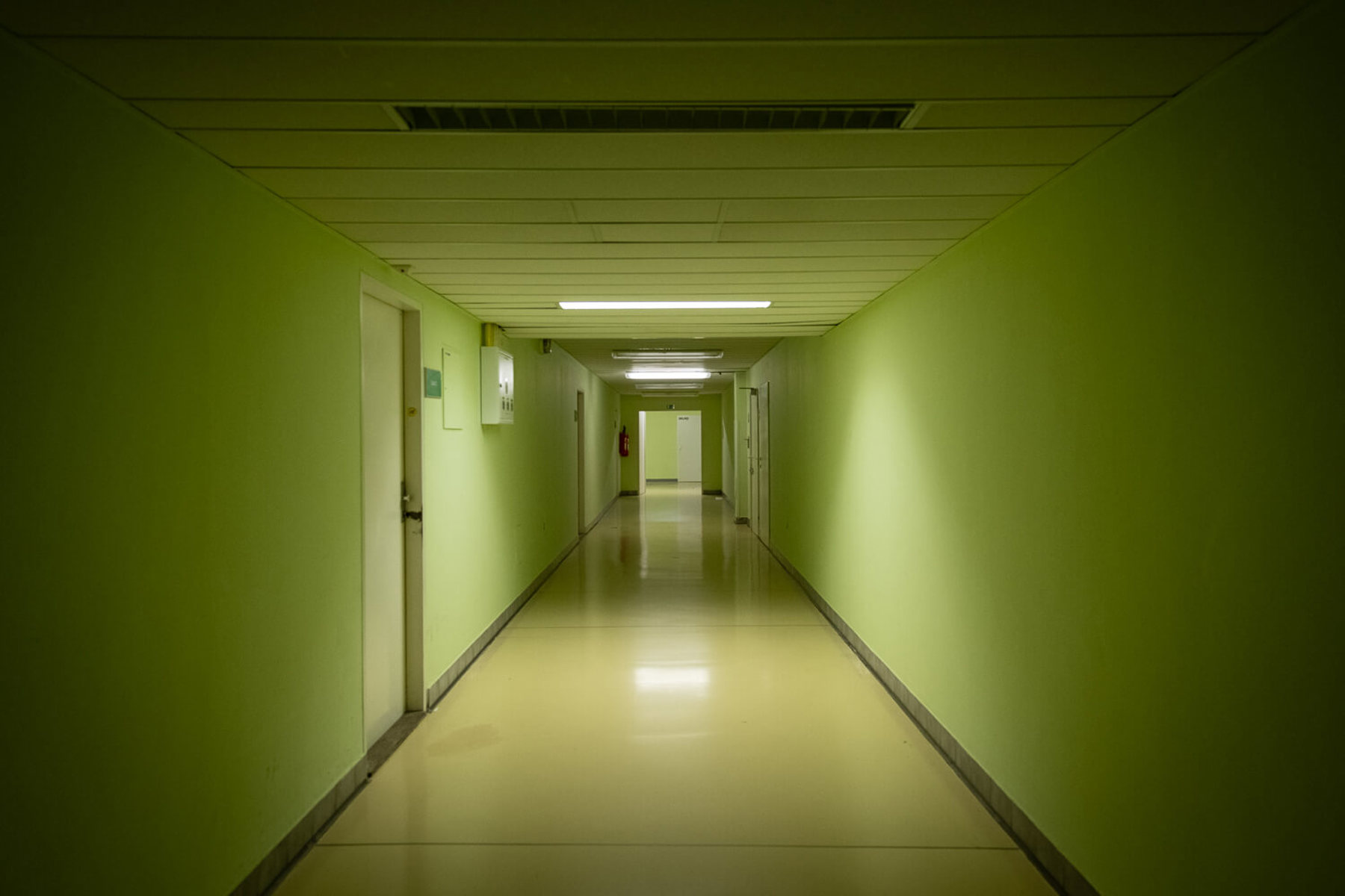 Obrázek /media/faapdocy/_dsc9368.jpg