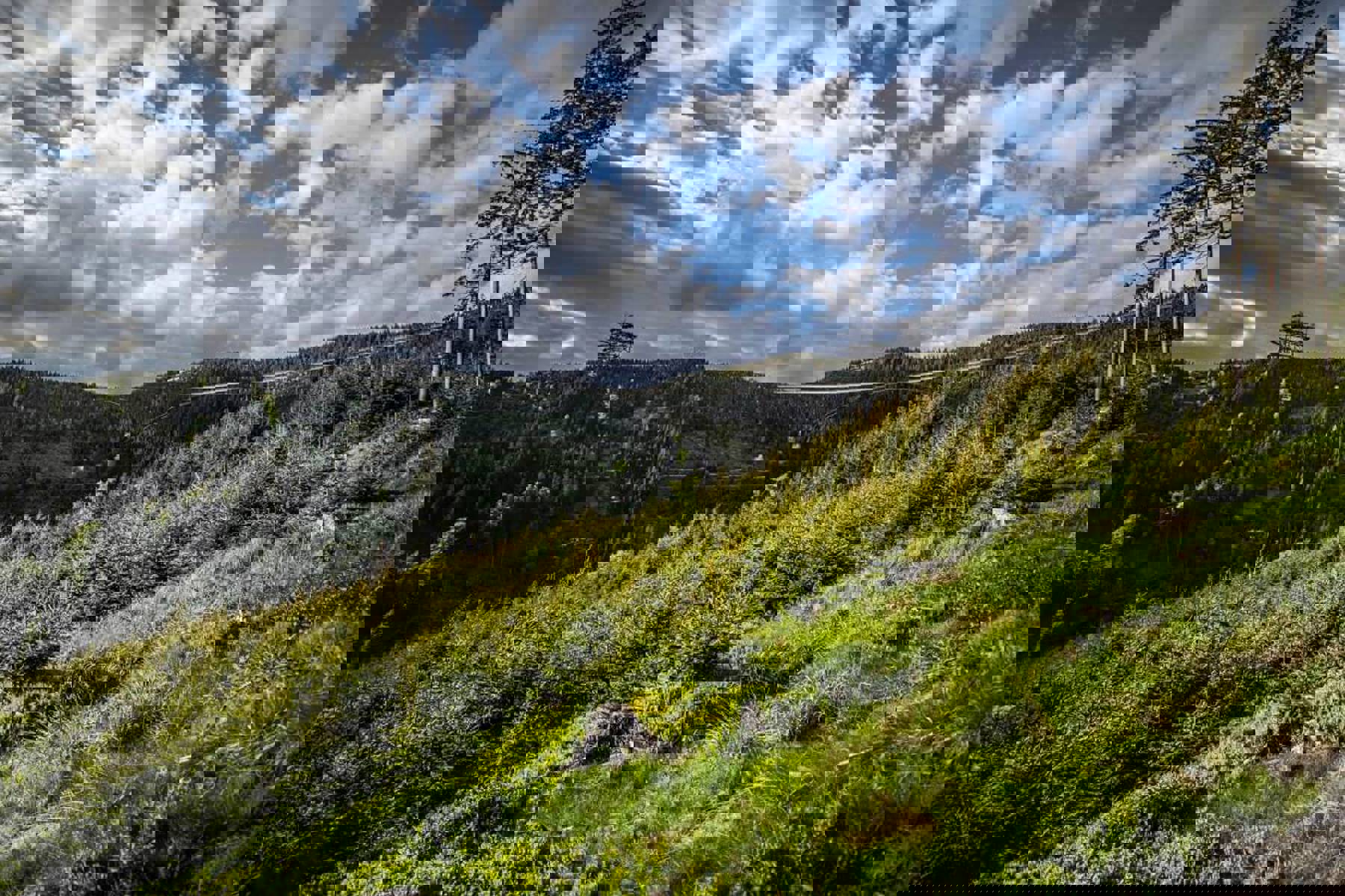 Image /media/ffjjr05o/sky_bridge_721_archiv_horsky_resort_dolni_morava__13_mala.jpg