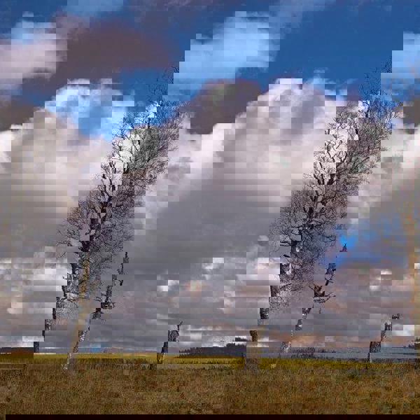 Image /media/fgukkrfr/priroda14.jpg