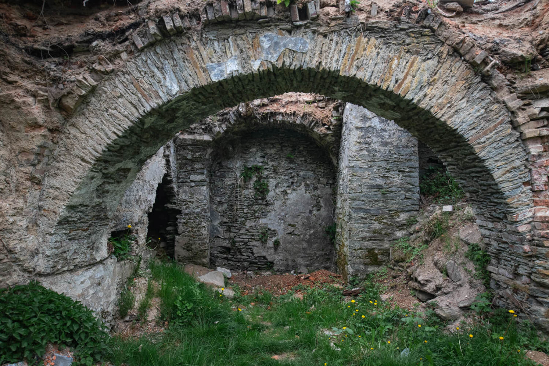 Image /media/fmslnrhh/_dsc5025.jpg