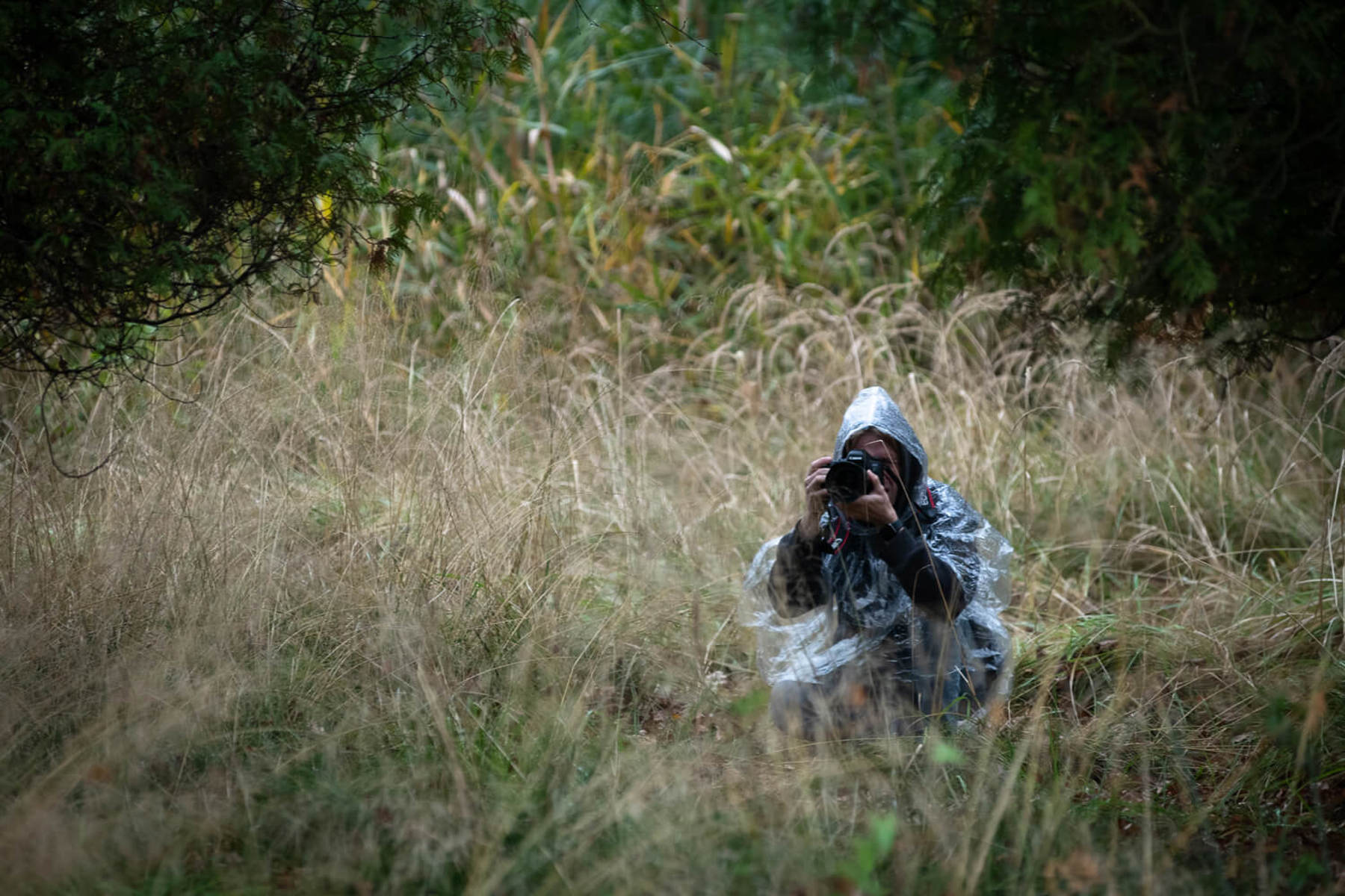 Image /media/fosl5abu/dsc4448.jpg