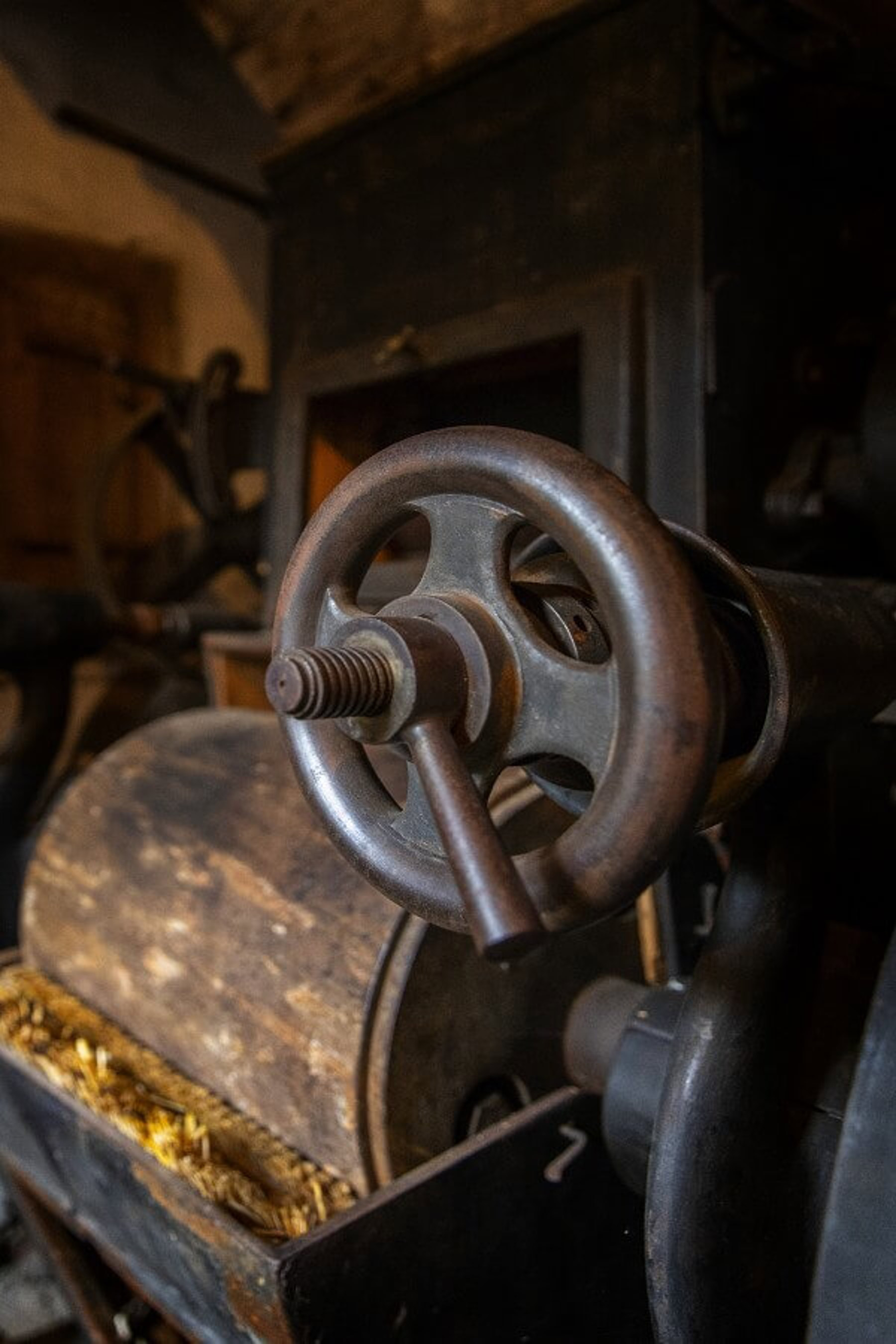 Image /media/fqzbsycm/wesselsky_001.jpg