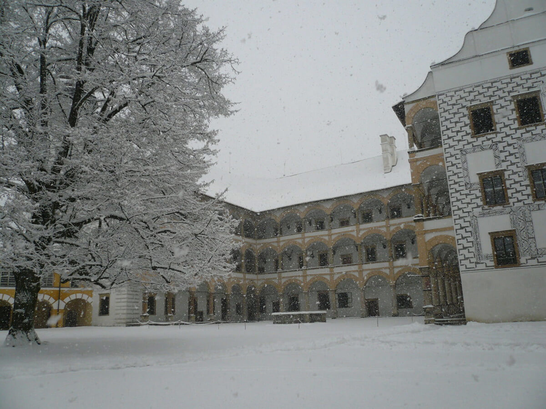 Image /media/fxyfby0f/p1130298.jpg