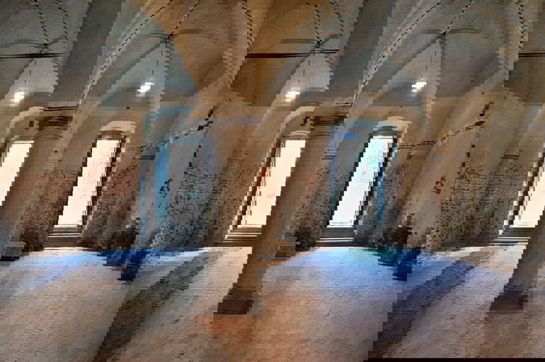 Image /media/g0pb5lzs/dsc_6431.jpg