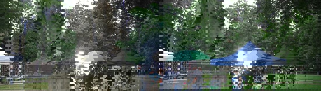 Alternativní text obrázku