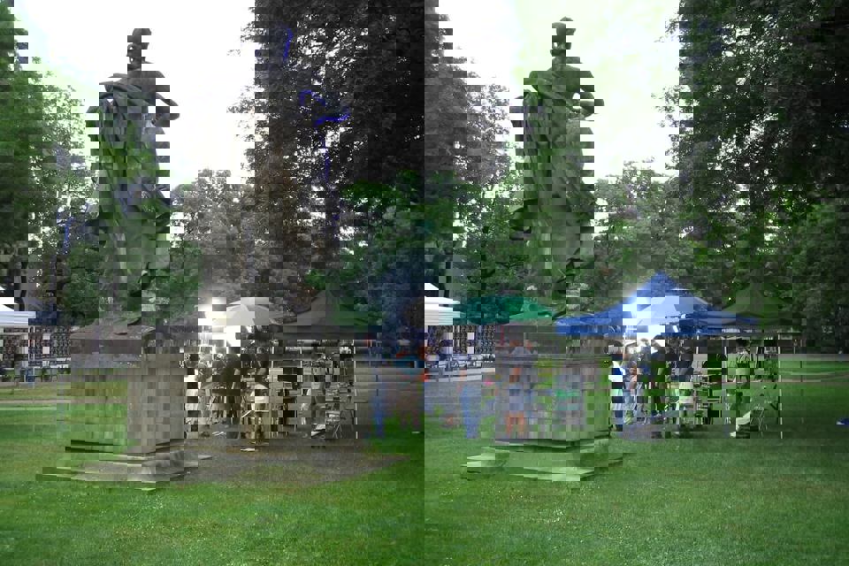 Ilustrační obrázek článku ''