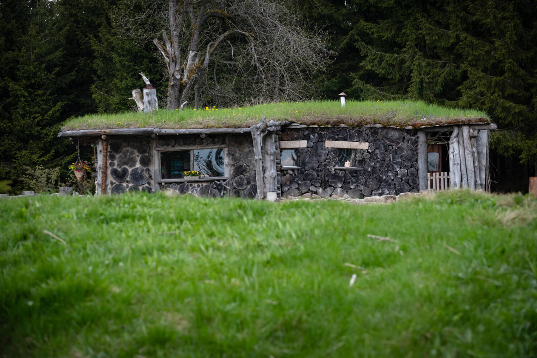 Image /media/g4qhfqt1/dsc8085.jpg