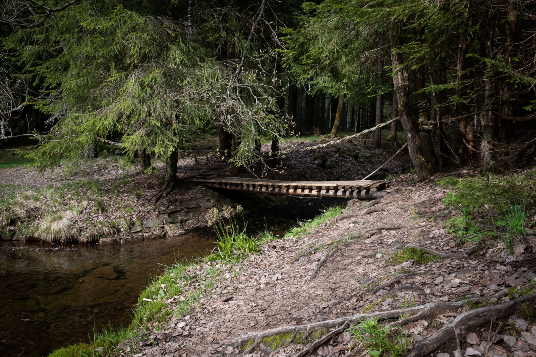 Image /media/gh5fcoqa/dsc8697.jpg