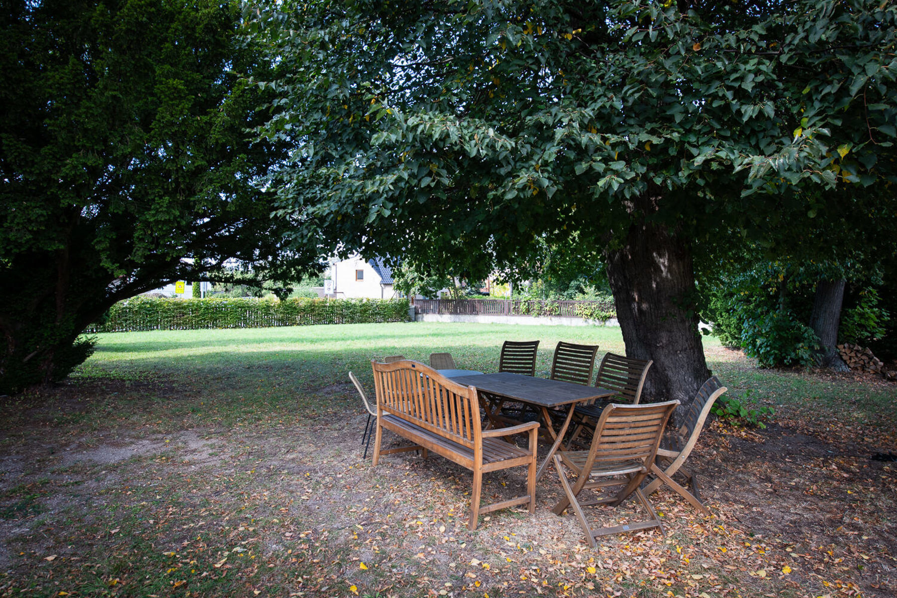 Obrázek /media/gochy5nf/_dsc9340.jpg