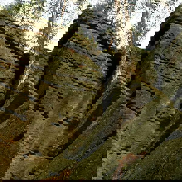 Obrázek /media/grbbli15/14___toulovcovy_mastale.jpg