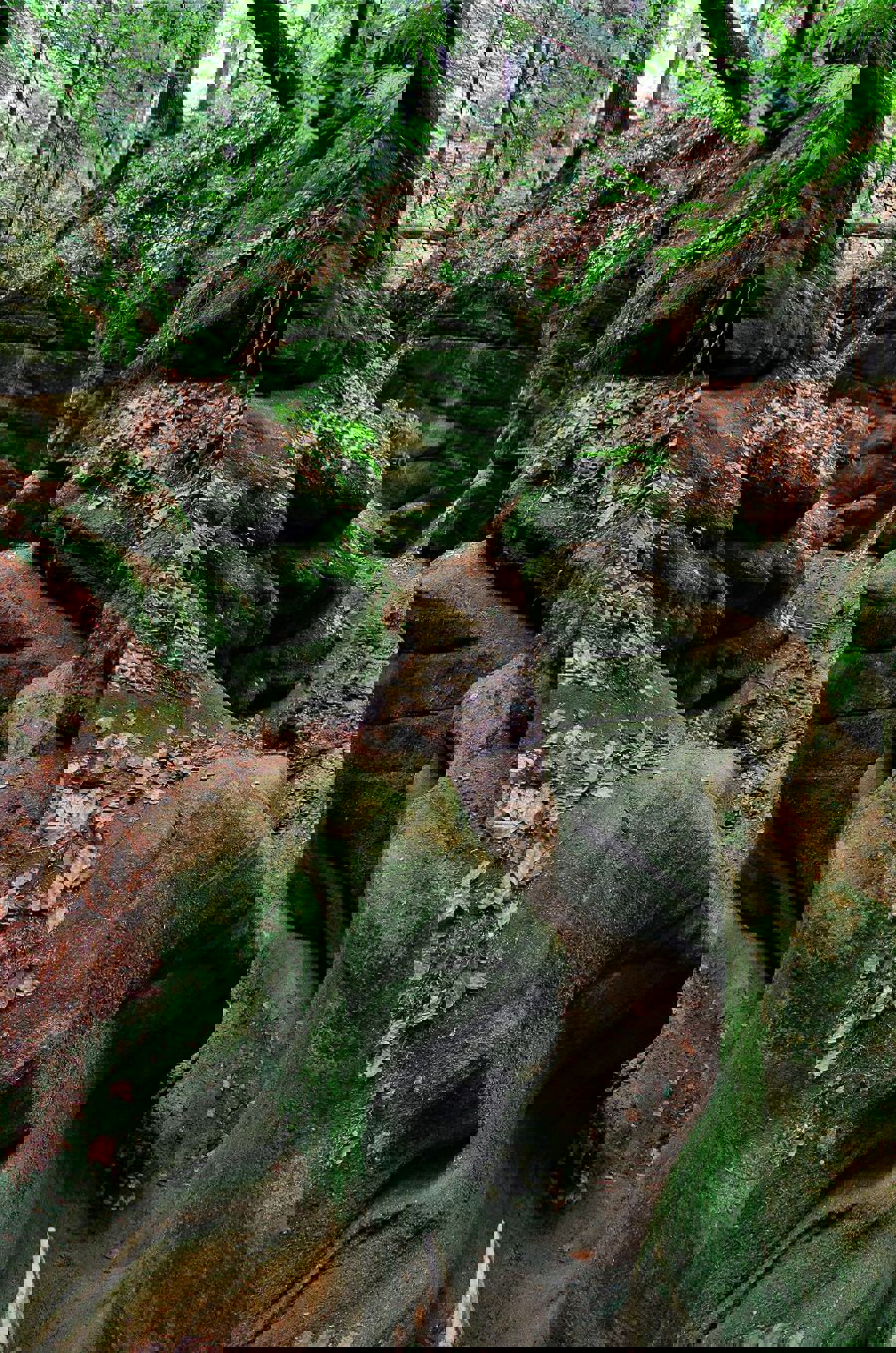 Obrázek /media/grtikpic/7___toulovcovy_mastale.jpg