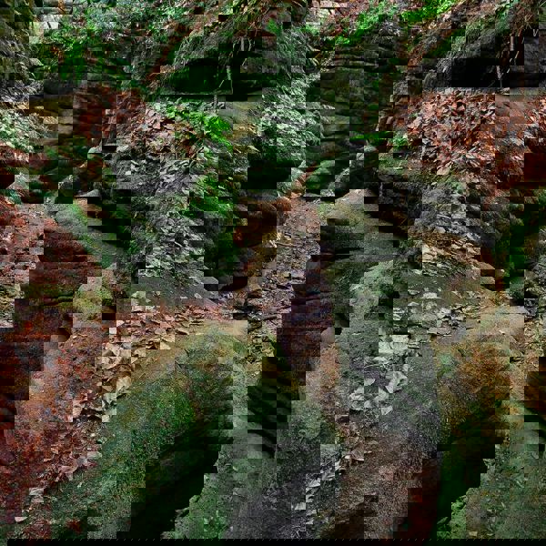 Obrázek /media/grtikpic/7___toulovcovy_mastale.jpg