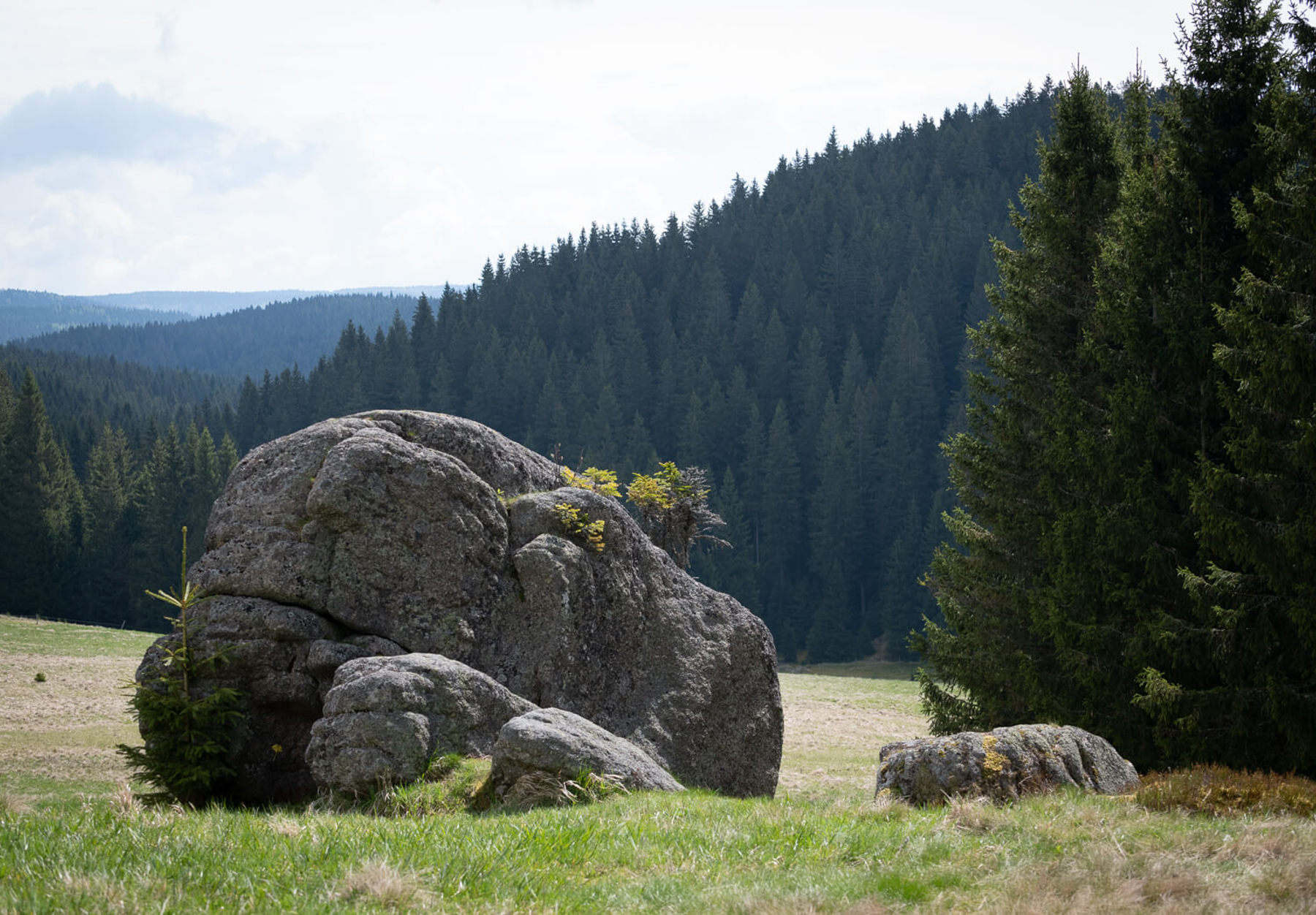 Image /media/gyzpb1fk/dsc7925.jpg