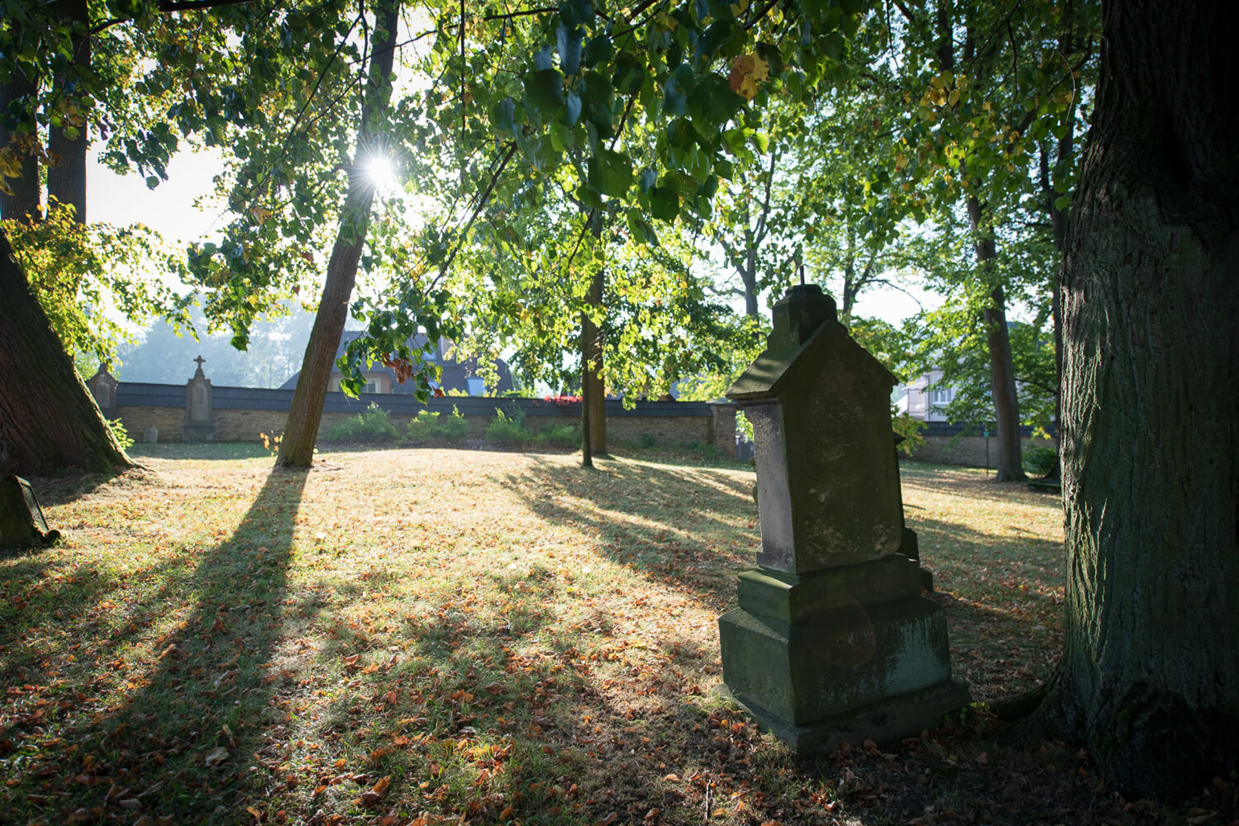 Obrázek /media/gzdpd4gq/_dsc9117.jpg