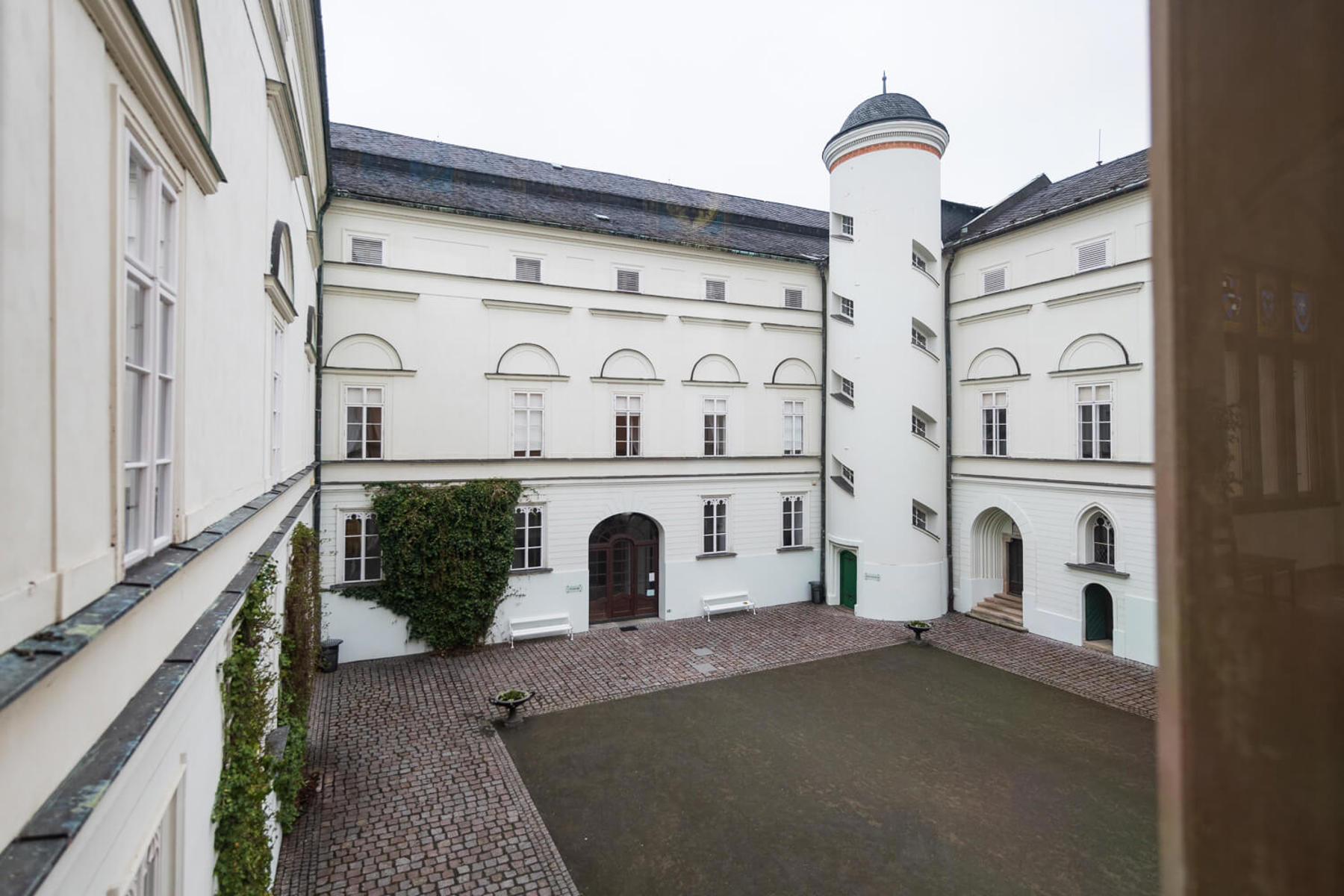 Image /media/gzlojfia/dsc9696.jpg