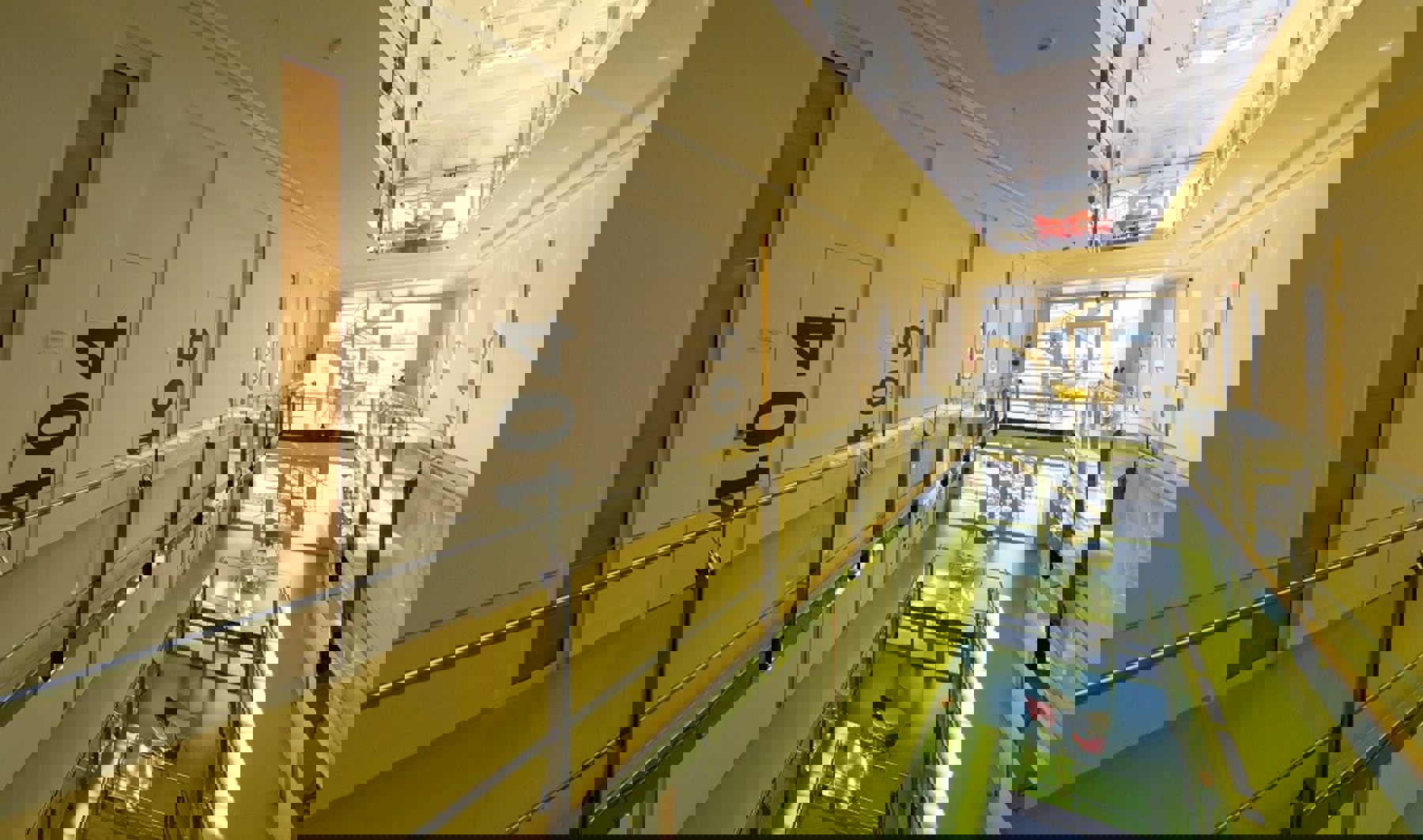 Image /media/hb2j3m0d/dsc_0556.jpg