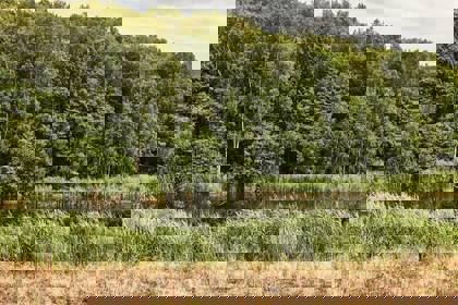 Image /media/hfoo53c4/karel_kita_-_moravskoslezske_investice_a_development_34.jpg