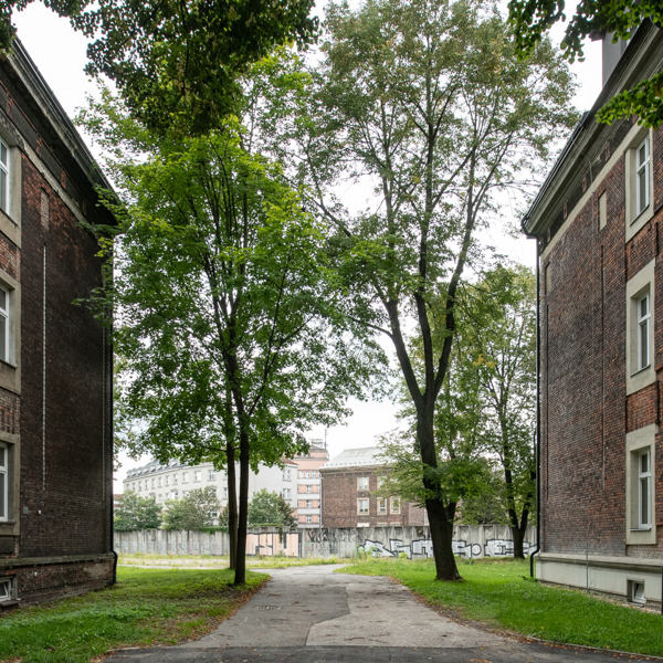 Obrázek /media/hjwgnqjh/_dsc9805.jpg