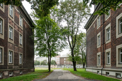 Image /media/hjwgnqjh/_dsc9805.jpg