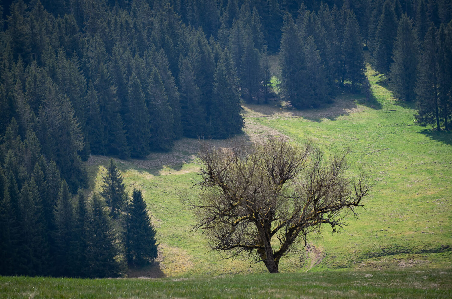 Image /media/hk3kezca/dsc7906.jpg