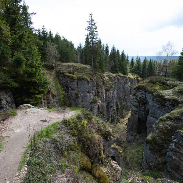 Image /media/hkfj24bu/dsc8015.jpg