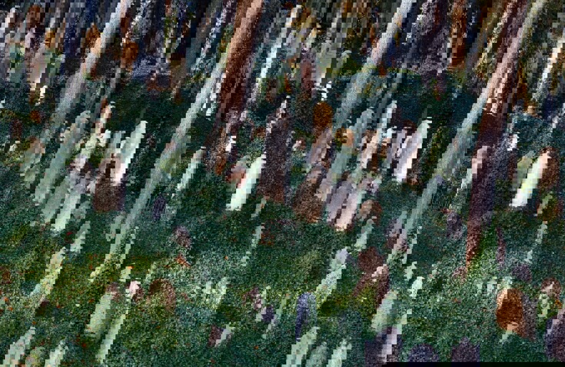 Image /media/hnvawbmx/trebic_hrbitov_2.jpg