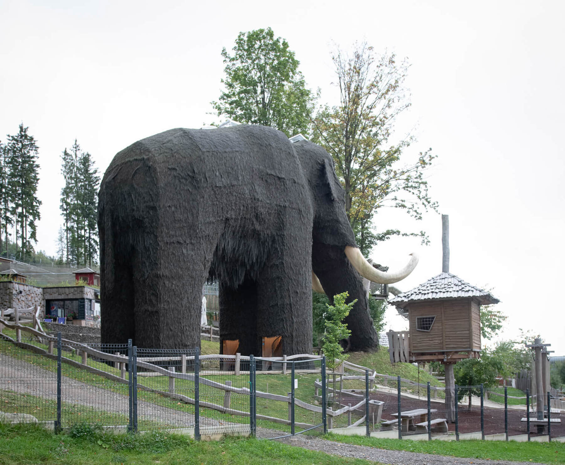 Obrázek /media/hpehymfb/_dsc9209.jpg