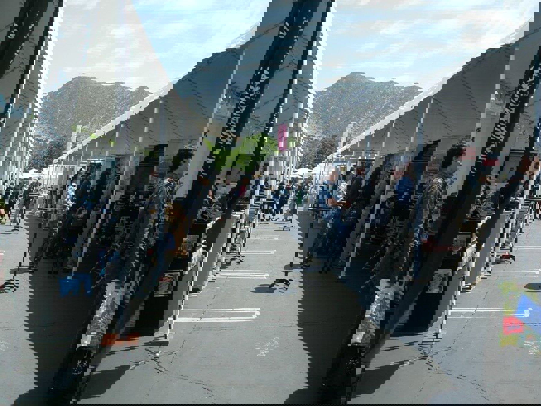 Image /media/htcjkhif/p60501101.jpg