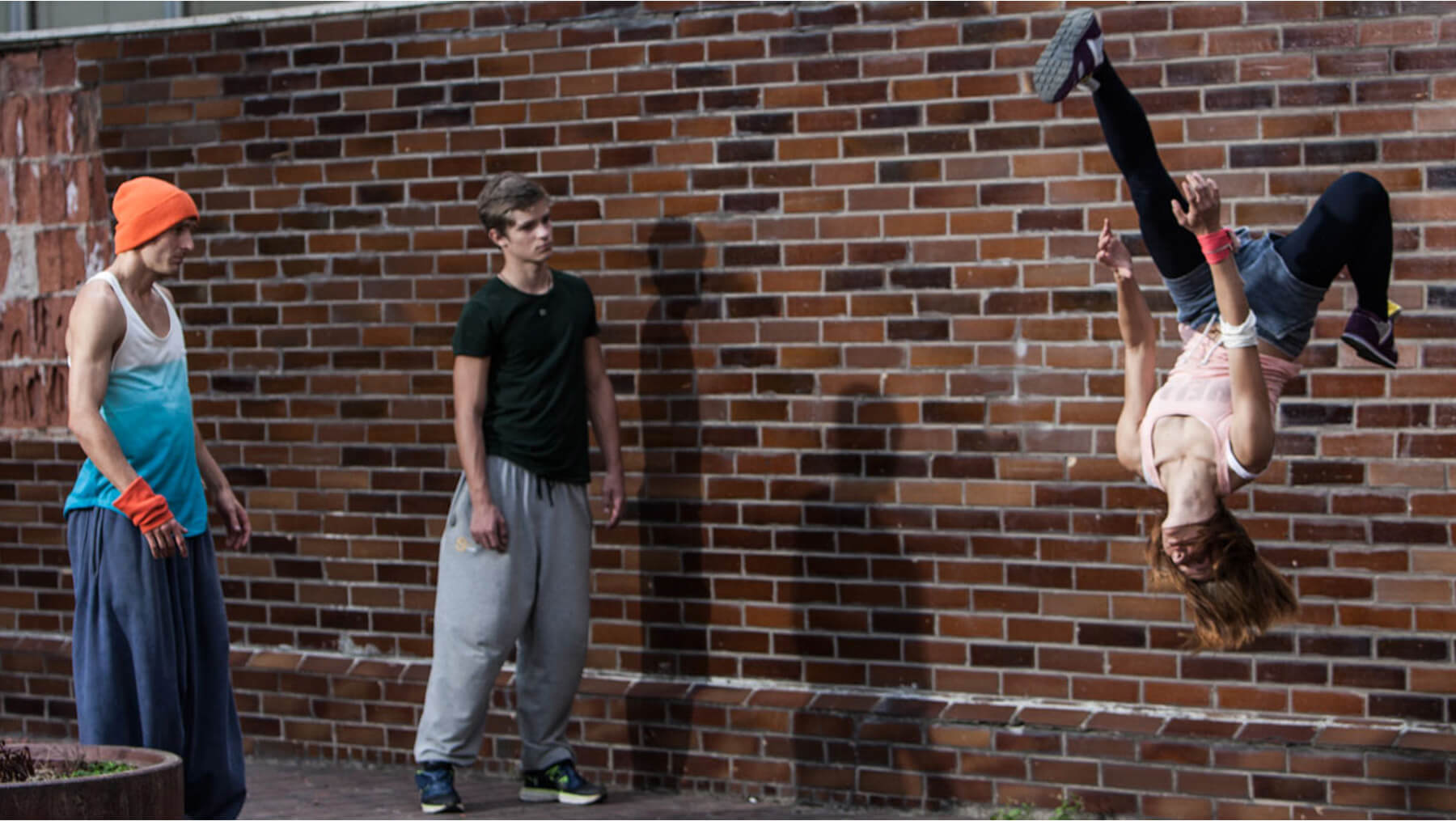 Obrázek /media/hx2ln21v/ani_ve_snu.jpg