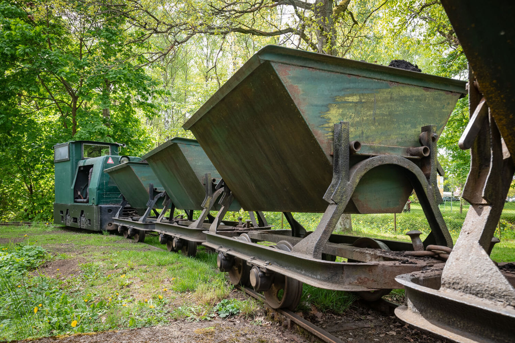 Image /media/i13lxhsi/_dsc4519.jpg