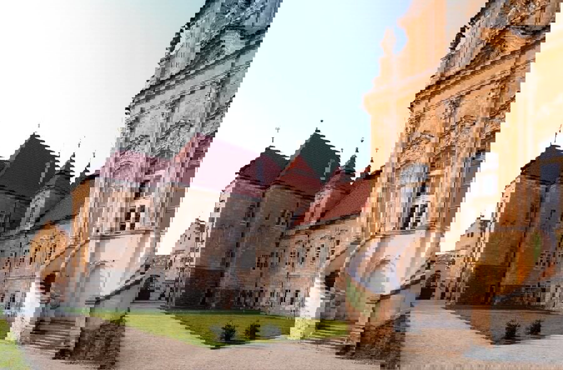 Image /media/i2effzy1/klaster_zeliv_11.jpg