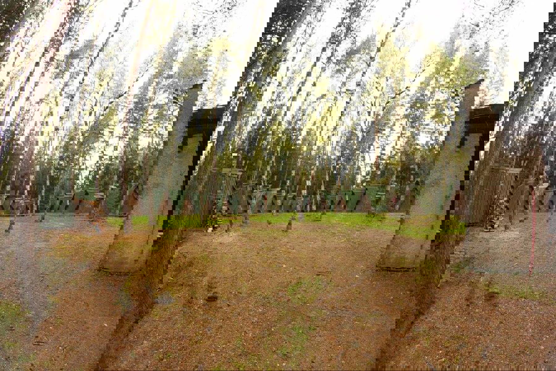 Obrázek /media/i3yp3xhe/facebook_tz_lipnice_8.jpg