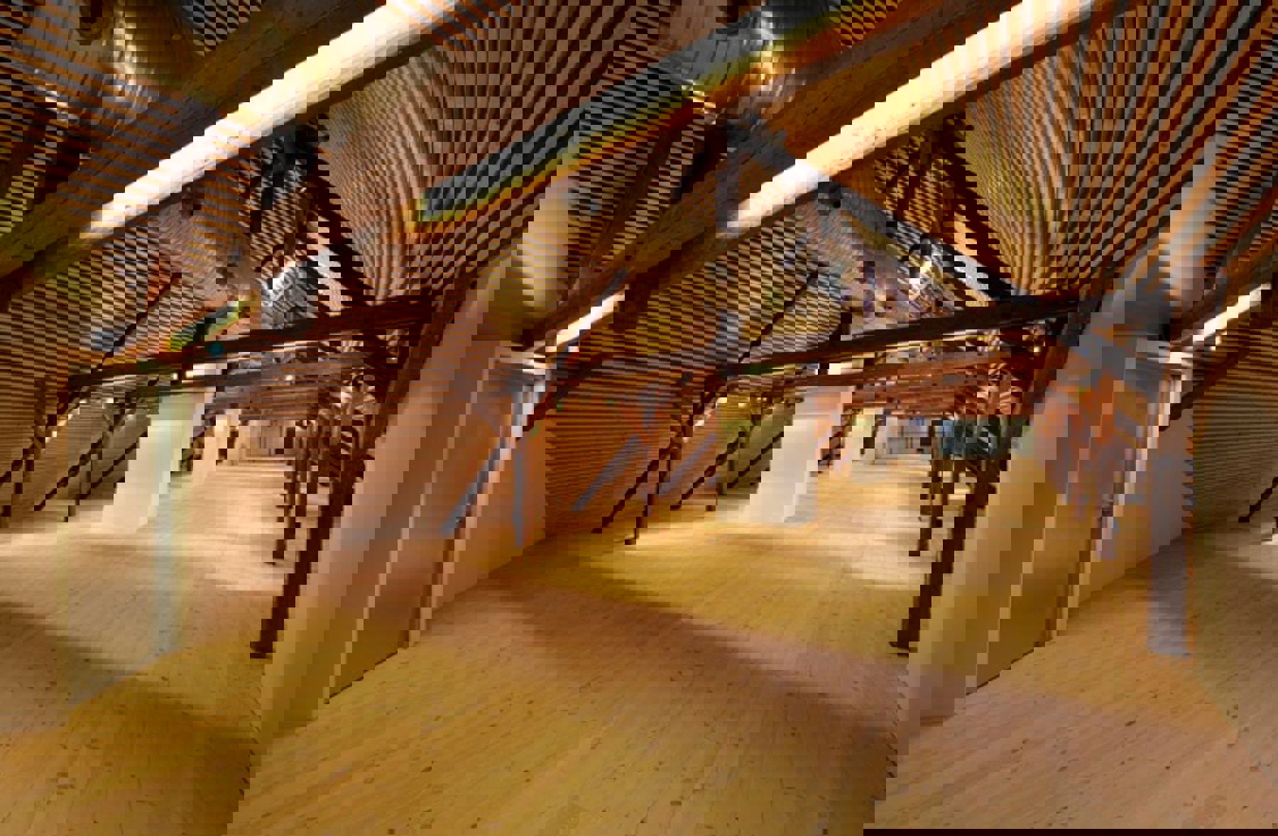 Obrázek /media/ialdzgmb/picture21.jpg