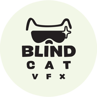 Blind Cat VFX