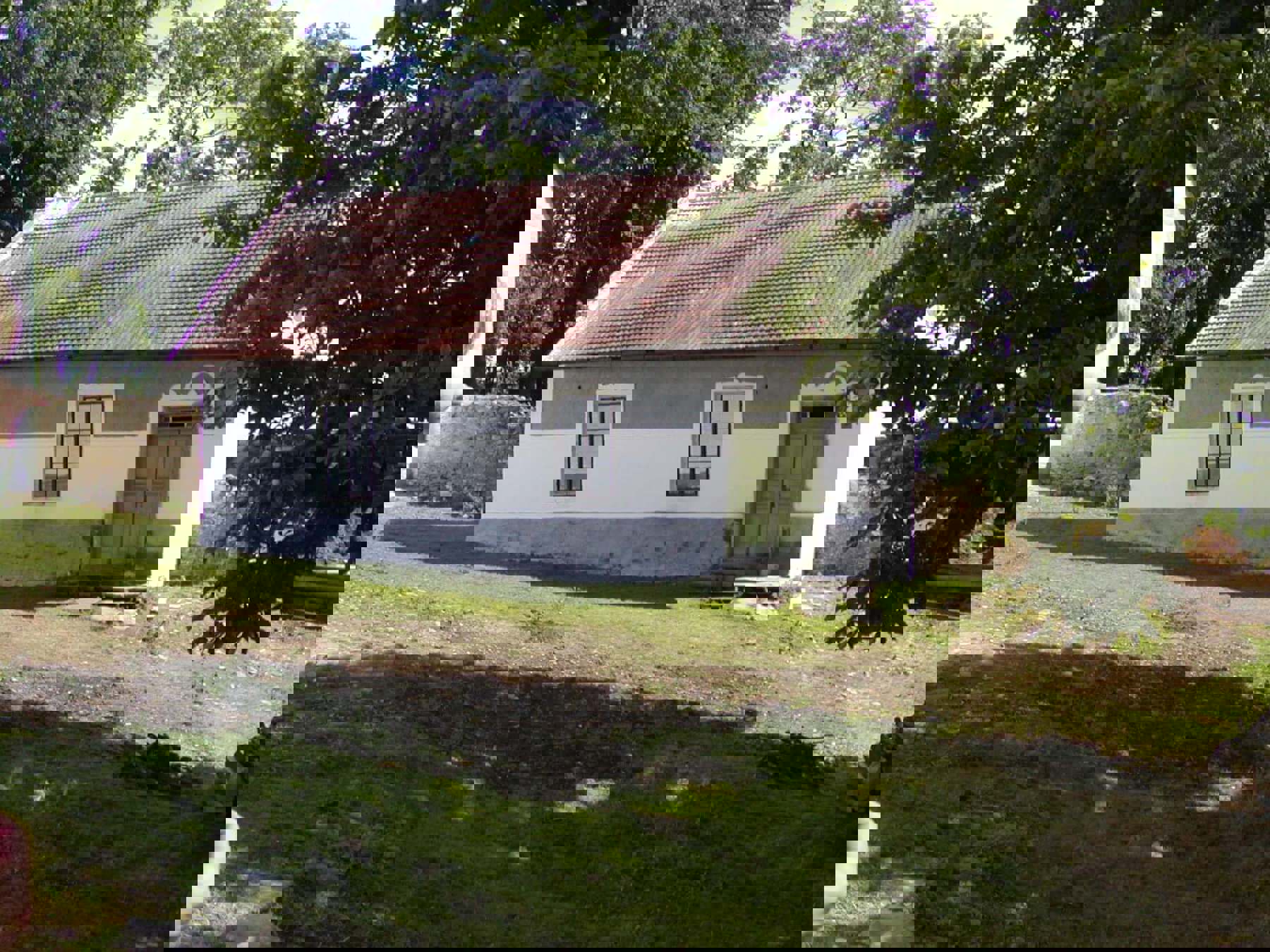 Obrázek /media/ibgewaso/p1010067.jpg