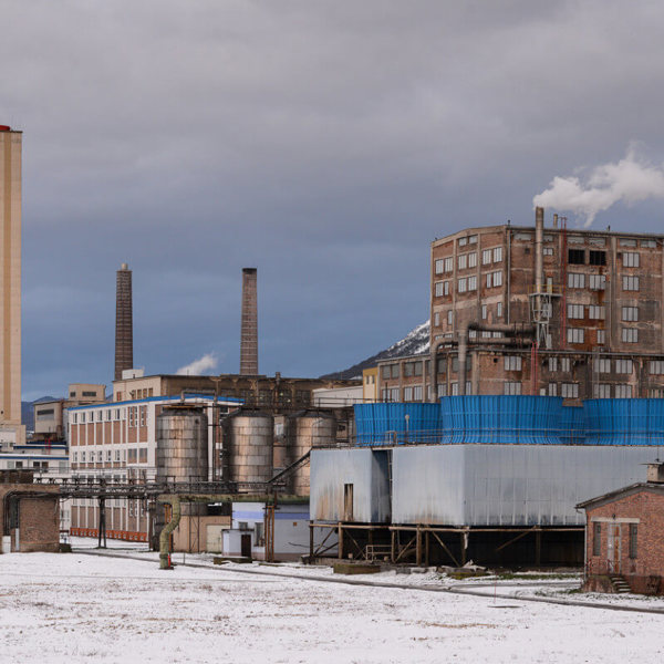 Image /media/id0ddayn/dsc_7865.jpg