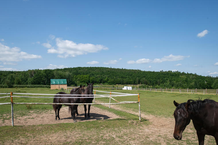 Obrázek /media/ilujb344/_dsc7968.jpg