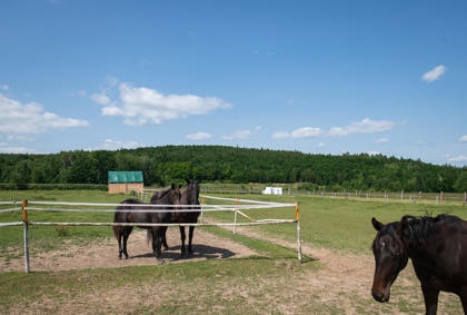 Obrázek /media/ilujb344/_dsc7968.jpg