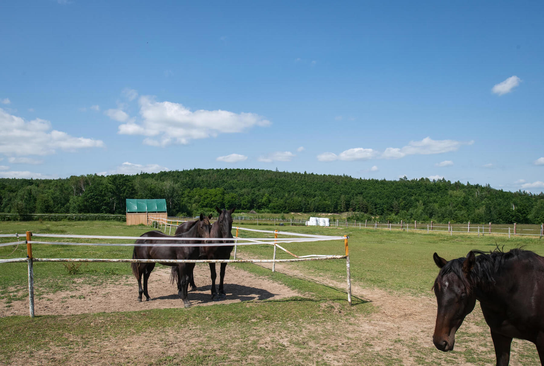 Image /media/ilujb344/_dsc7968.jpg